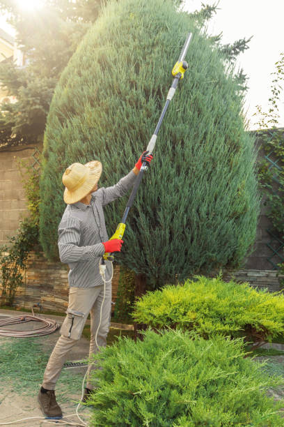 Trusted Laureldale, PA Tree Removal and Landscaping Services Experts